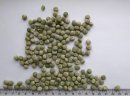 Zielony Groch (Green Pea) - zdjęcie 1
