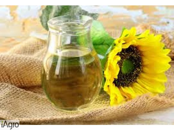 Olej słonecznikowy sprzedam