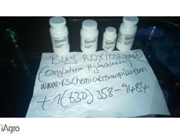 Buy lemon haze,grand daddy purple,afghan kush,Og kush ,concentrates and others 