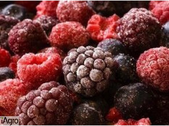  Ukraina.Nawiazemy wspolprace z producentami,dostawcami mrozonej zywnosci oraz szeroko pojetej gastronomii.Gotowe dania, polprodukty,frytki,warzywa,owoce,musy,kompoty,produkty wysokoprzetworzone,fast foodowe.Zajmujemy sie dystrybucja wszelkiego rodzaju mr