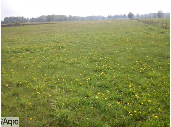 Parcela pod zasiedlenie, ok. 23km do Łomży, ok. 5km do rz. Narwi, ok. 7km do rz. Pisy, ok. 70km do j. Śniardwy