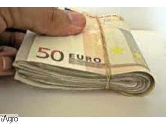  Oferują pożyczki między ludźmi