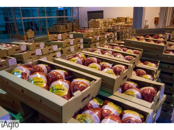  Ukraina.Chlodnia zakupie filety z kurczaka,mieso wieprzowe w poltuszach,elementach,pakowane oraz luzem.Ceny do uzgodnienia, negocjacji.Handel wyrobami przemyslu drobiarsko-jajczarskiego i miesnego.Mrozenie,chlodzenie,pakowanie produktow zywnosciowych. Do