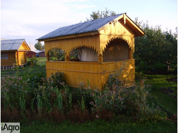  Ukraina.Orzechy wloskie luskane,pestki dyni w dobrej cenie przeznaczone na export.Sprzedam,wynajmie sad orzechowy. Stabilny poziom produkcji,srednioroczne zbiory 240 ton orzechow wloskich.Grunty rolne od 150 zl/hektar laki,pastwiska, zalesione nieuzytki,