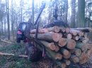 Przyczepa leśna Weimer  z HDS 10 ton  - zdjęcie 2
