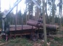 Przyczepa leśna Weimer  z HDS 10 ton  - zdjęcie 3