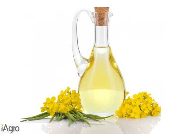 Sprzedam olej rzepakowy 10, 30, 300 ppm