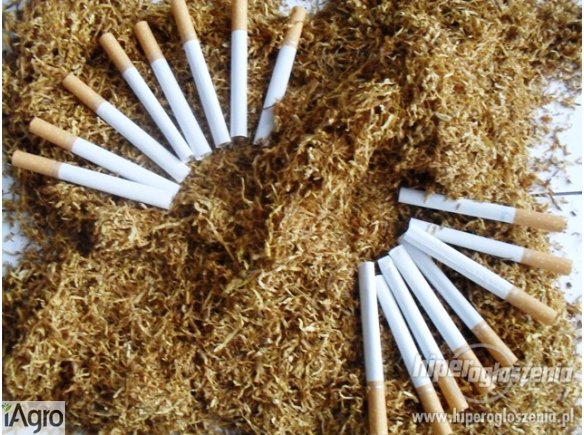 Tytoń MARLBORO 511 130 832  75 ZL ZA KG !!