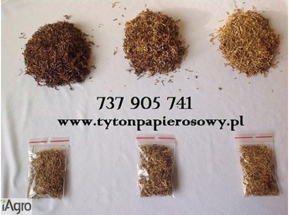Świat jeszcze takiego tytoniu nie widział!! Zapraszamy do zakupów, tytoń u nas 79 zł 1 KG!
