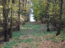 Mazury- 28złm- Stare Juchy grunty nad jeziorem przy lesie z warunkami zabudowy - zdjęcie 4