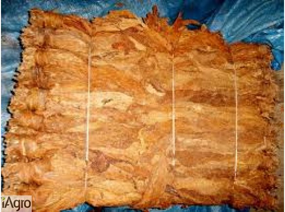 Sprzedam Liście Tytoniu