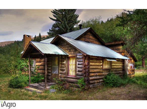  Ukraina.Grunty rolne,posiadlosci z sadem,ogrodem 0,30ha w cenie 3 tys.zl.Czernihowski obw.Posiadamy w stalej sprzedazy nieruchomosci agroturystyczne nad rzeka Desna,tereny historyczne opisane w powiesciach Henryka Sienkiewicza ze starymi kozackimi domkam