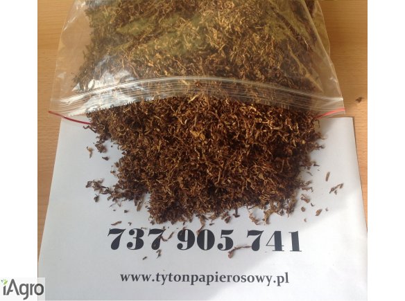  Tytoń szybka dostawa ! Tyton 79 zł 1 kg! OD FIRMY! Pewność i Bezpieczeństwo!