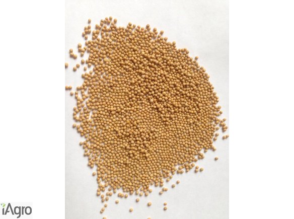 Proso żółte, len, kolendra, gorczyca biała Sprzedaży