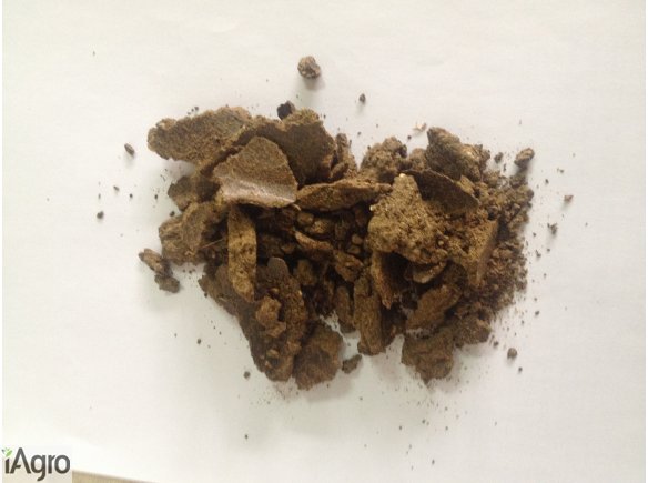 Makuch  słonecznikowy  Białko 22-28% 