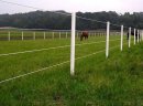 Equisafe - ogrodzenia elektryczne dla koni, pastuch, HDPE - zdjęcie 6