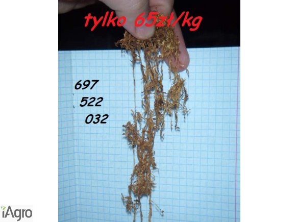 KRAJANKA TYTONIOWA-L&M-ROUTE 66-MARLBORO-CAMEL-TYTOŃ VIRGINIA, BARLEY