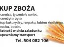 Kupię zboża ekologiczne- skup zboża ekologicznego