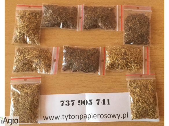 Tytoń Tylko Najlepszy, Tylko Najtaniej, Tylko PERFEKCYJNIE 79 zł 1kg 
