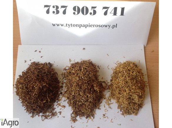 Tytoń ideał - 79 zł 1 KG - Sklep Internetowy - Pewność i Bezpieczeństwo