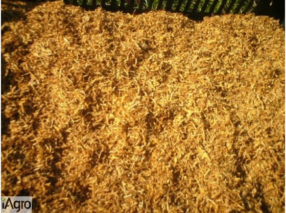 Tytoń gotowy do palenia 65 zł