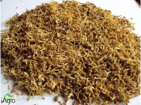 SUPER TYTOŃ  570 594 038 tani-tyton.pl