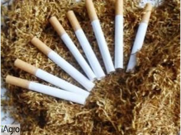 Tani-tyton.pl 733-522-991