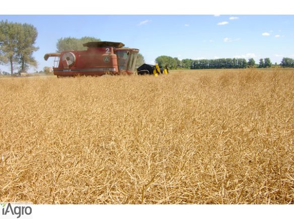  Ukraina.Torf ogrodniczy Sapropel 30 zl/tona rozdrobniony,kompostowany na potrzeby pieczarkarnie,upraw roslin,warzyw.Humus odkwaszony pH5,5~6,5 mul denny organiczny,substraty wyprodukowane z torfu wysokiego o frakcji 0~30mm.Odpowiednio dodane skladniki do