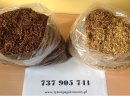 Dobry Tytoń w Dobrej Cenie ! 79 zł 1KG | Doświadczona Firma