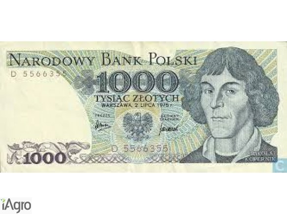 N 'Ignoruj ??trochę czasu, aby przeczytać oferują pożyczki pomiędzy poszczególnymi szybkie i niezawodne