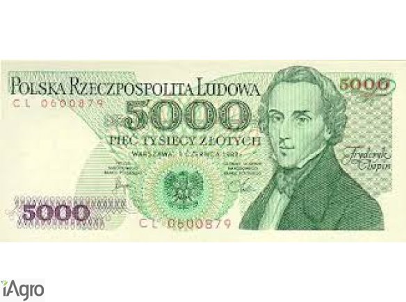 Don 't ZIGNORUJ, trochę czasu, aby przeczytać oferują pożyczki pomiędzy poszczególnymi poważne