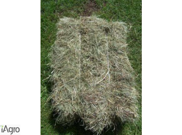 Sprzedam siano w kostkach 2016 r. 1 pokos