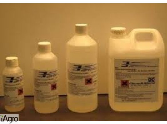 Odkurzacze samochodowe Kołpaki GBL