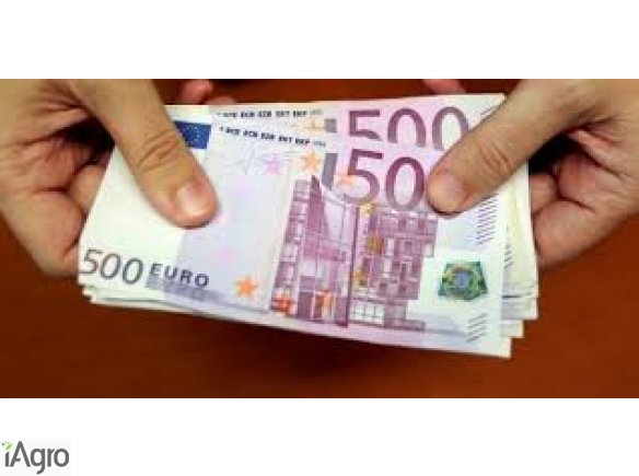 Oferuje pożyczki społecznościowe w 2000 roku do 250.000.000 euro