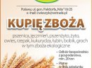 Kupię owies- skup owsa