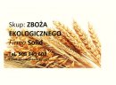 Firma Solid kupi zboża ekologiczne