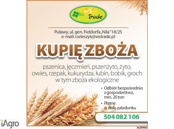 Kupię owies- skup owsa