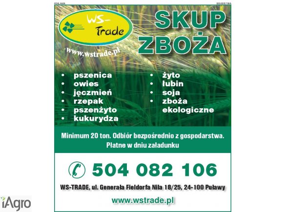 Kupię łubin również ekologiczny