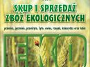 Skup zbóż ekologicznych