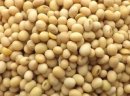 Kupię soję