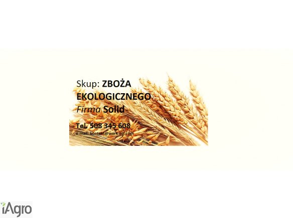 SKUP ZBOŻA EKOLOGICZNEGO