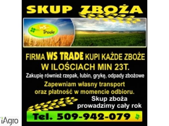 Skup zbóż, min 20t, płacimy w dniu odbioru
