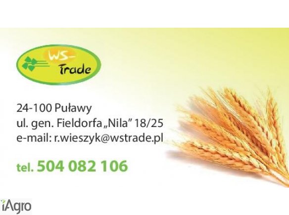 Kupię żyto- skup żyta