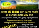 Skup zbóż, min 20t, płacimy w dniu odbioru