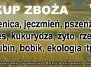 Kupię zboże ekologiczne, min 20t.