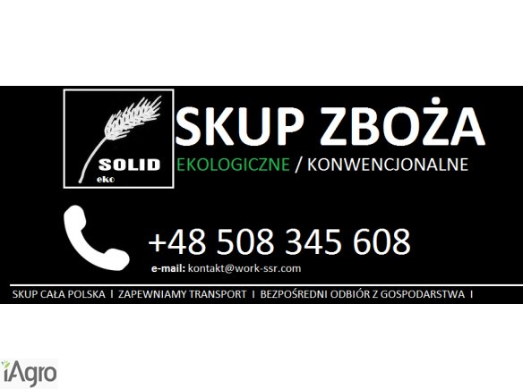 SKUP ZBOŻA EKOLOGICZNEGO