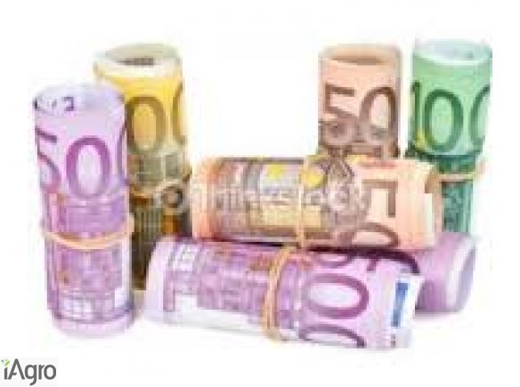 Oferują pożyczki pomiędzy poszczególnymi