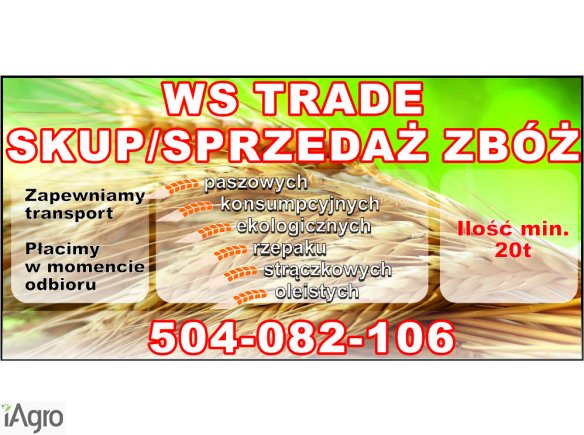 Kupię żyto- skup żyta