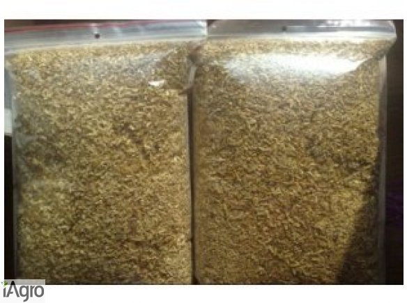 Sprzedam tytoń 65 zł