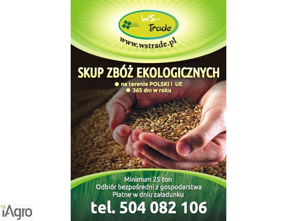 Kupię owies- skup owsa